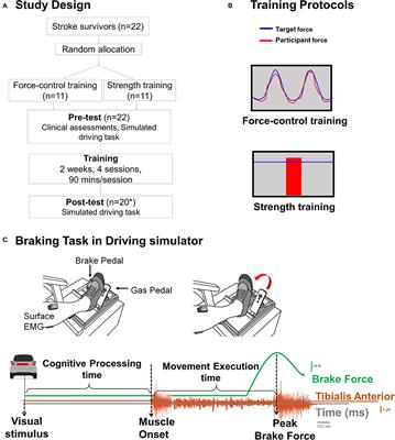 Motor Training After Stroke: A Novel Approach for Driving Rehabilitation